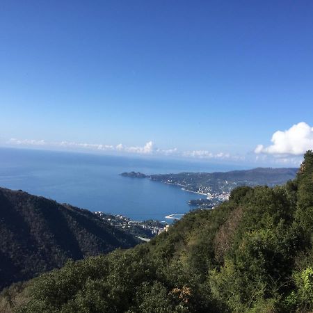 Hotel Montallegro Rapallo Exterior foto