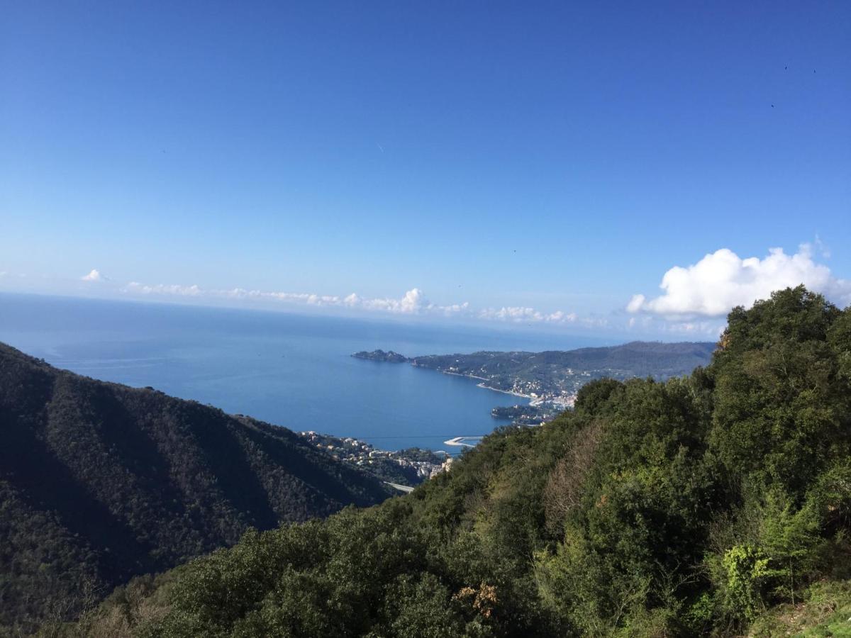 Hotel Montallegro Rapallo Exterior foto