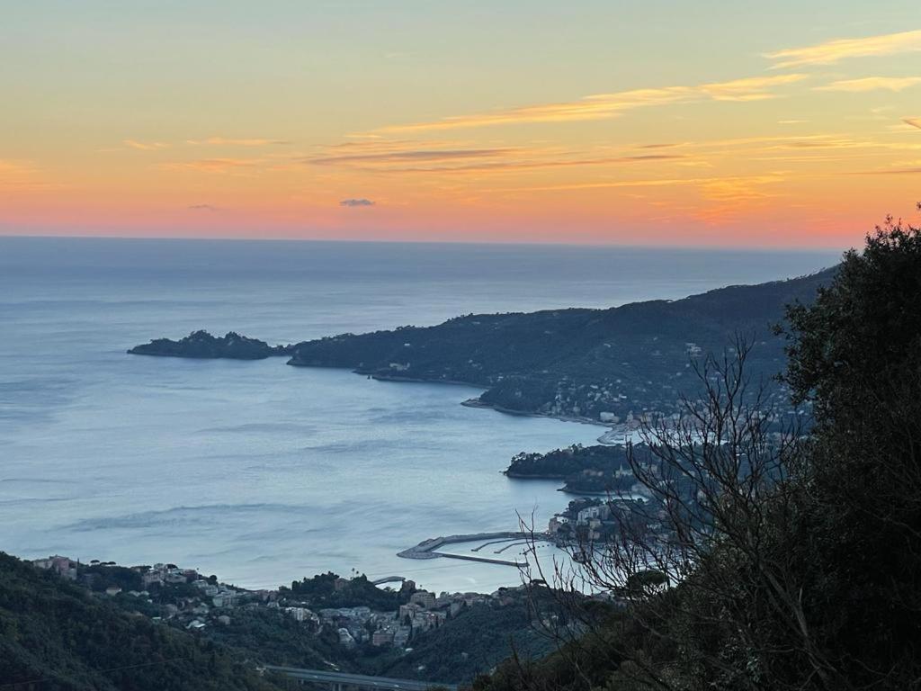 Hotel Montallegro Rapallo Exterior foto