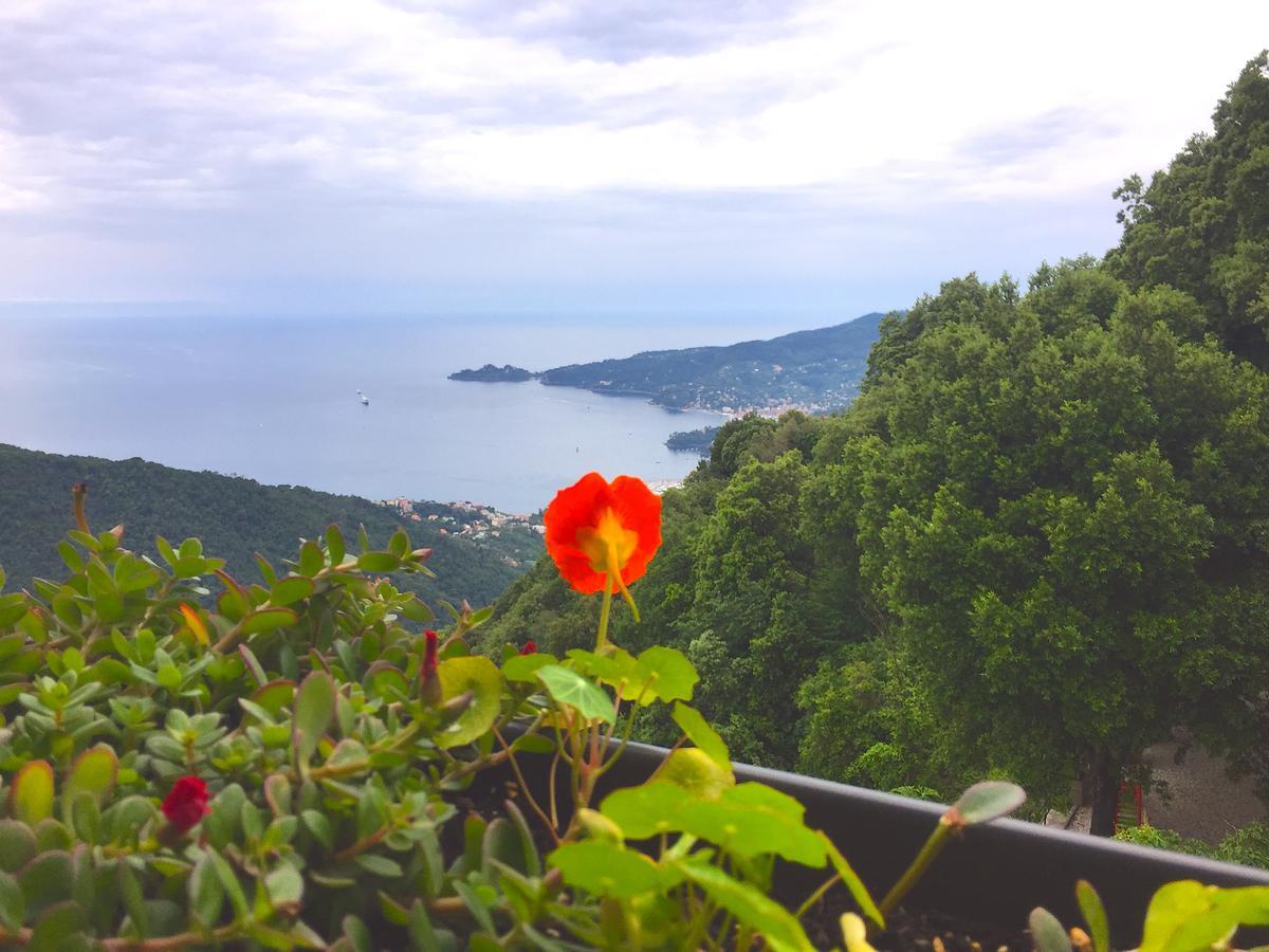 Hotel Montallegro Rapallo Exterior foto